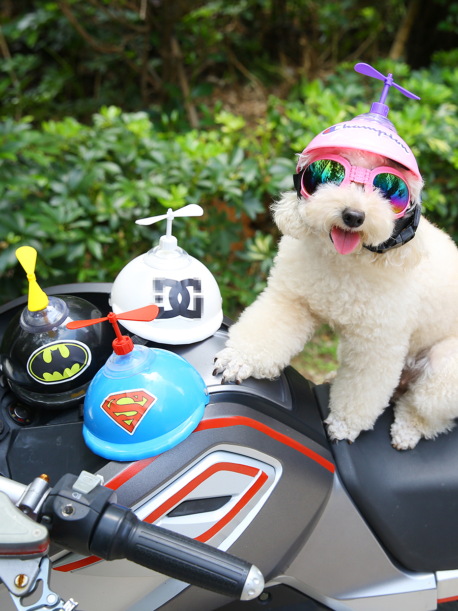 HTNI Pet motorcycle hat helmet Sunglasses cat helmet Dog Motorcycle hat bamboo dragonfly funny Sunglasses PN2L