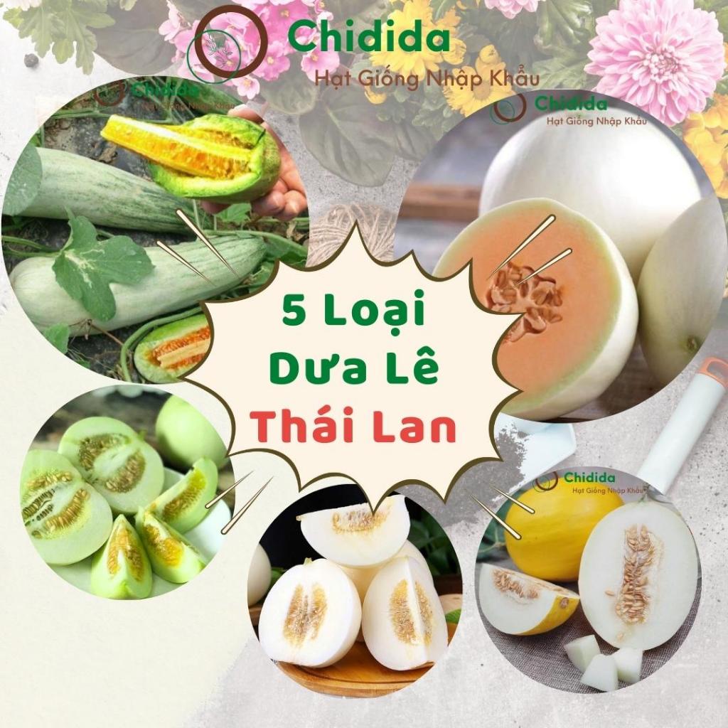 Hạt giống dưa lê Chidida giống dưa lê nhập khẩu Thái Lan gói 5gr siêu ngọt chịu nhiệt kháng bệnh tốt năng suất cao