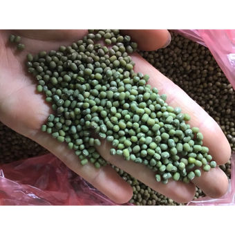 1kg Đậu xanh làm giá  - đỗ xanh hạt nhỏ làm giá đỗ
