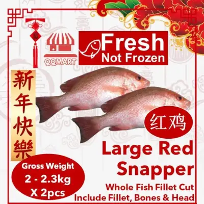 Fresh Whole Large Red Snapper 2 to 2.3kg X 2 pieces (Fillet Cut)