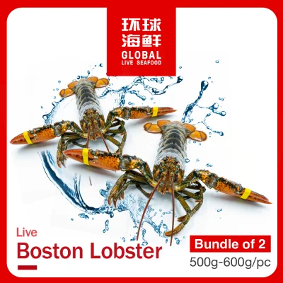 Live Boston Lobster: Standard Bundle of 2 (500g to 600g each)