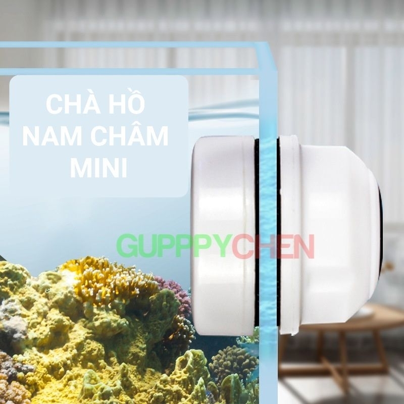 Hít chùi kính, chà hồ nam châm mini hình tròn dùng cho bể cá