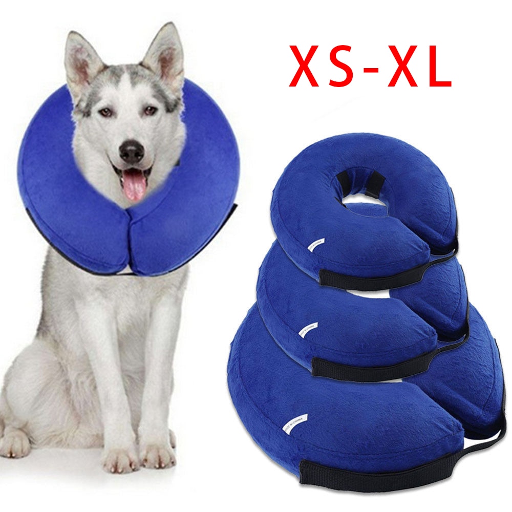 Inflatable mèo cưng bảo vệ Bìa Nguồn cung cấp chống-cắn PVC cổ áo phục hồi chấn thương cho chó lớn nhỏ bán buôn