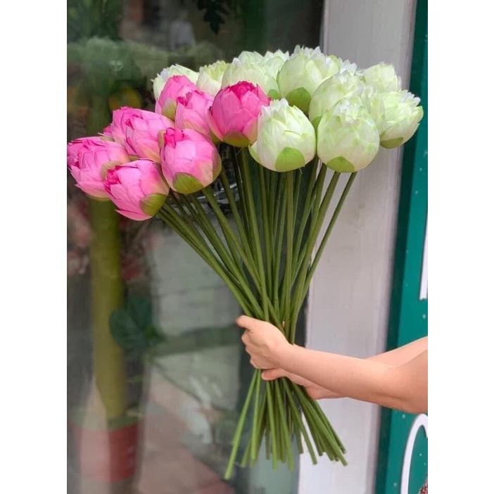 Hoa sen giả - SEN QUAN ÂM chất liệu bằng lụa đẹp cao cấp siêu to, bền màu dáng đẹp hàng loại 1