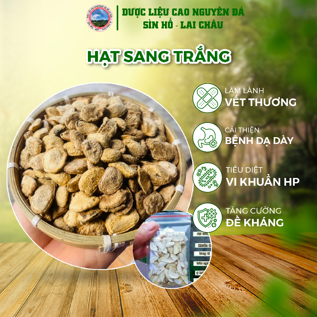 Hạt sang trắng, hạt sành hỗ trợ bệnh dạ dày, đại tràng có bán cả hạt chưa cạo và thái lát sẵn