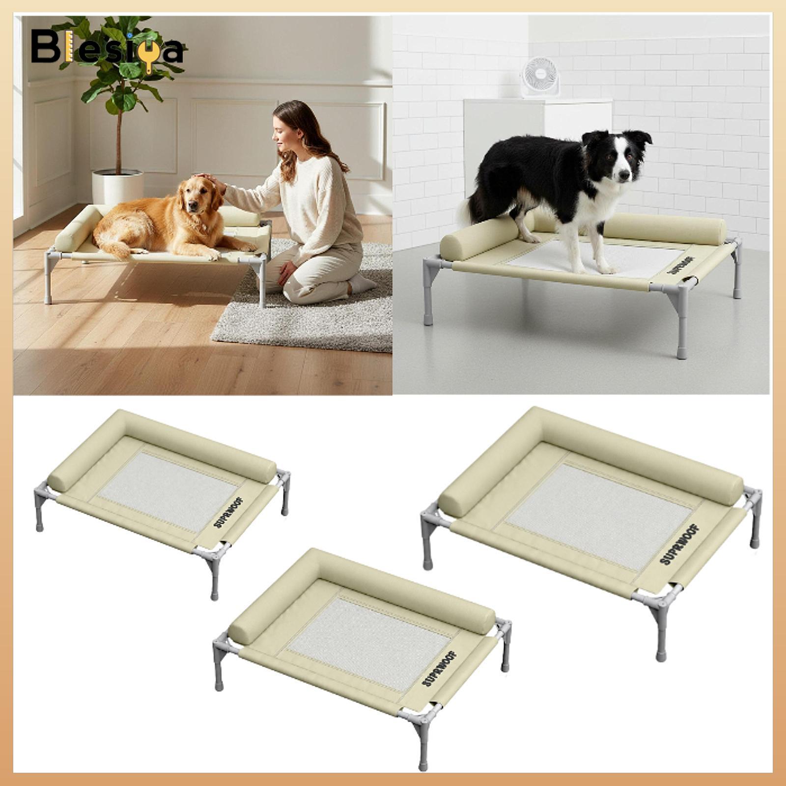 Elevated Dog Bed with Pillow Breathable Mesh Modern Comfortable Accessories Portable Raised Dog Cot for Puppy Small Pets Cats ราคา 3,125 บาท*ส่งฟรี