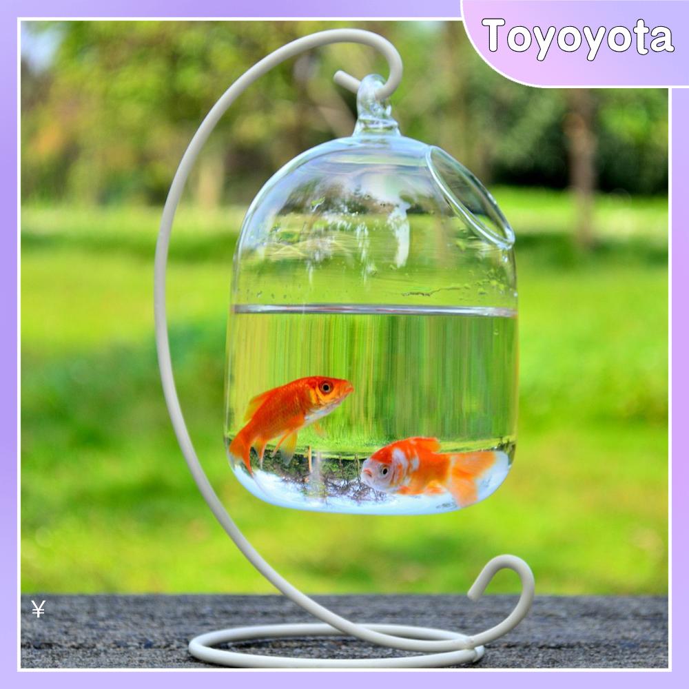 TOYOYOTA Đồ thủ công bằng thủy tinh  Có đế   Đồ trang trí   Treo  Bể cá   Thủy tinh   Bình   Trong suốt