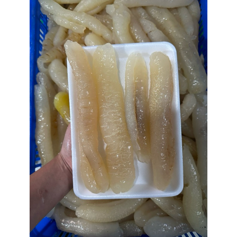 Hải sâm da vàng - khay 500gr