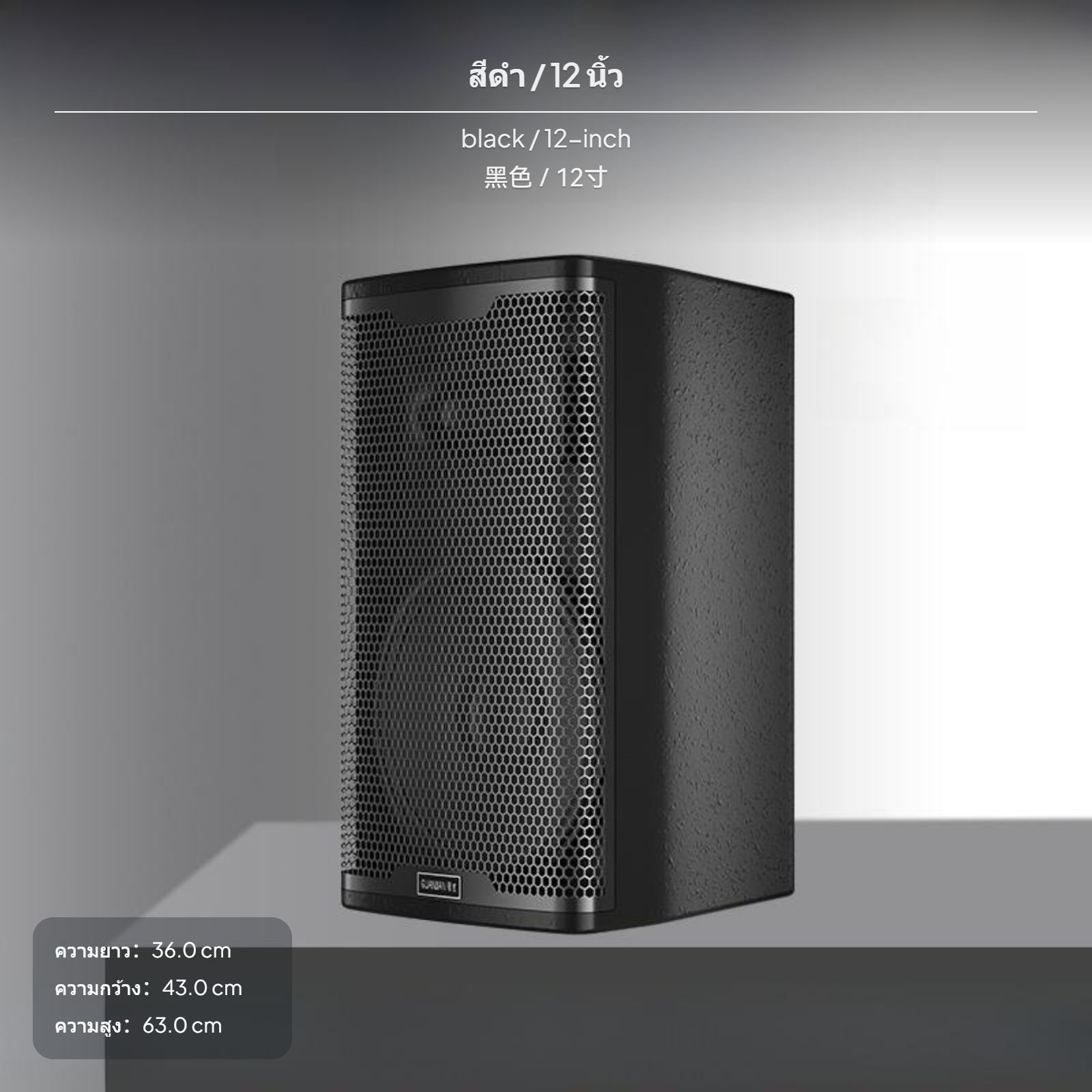 ลำโพงซับวูฟเฟอร์แบบติดผนังไร้สาย ขนาด 12 เซนติเมตร กำลังสูงสำหรับห้องฟิตเนส บาร์ ห้องประชุม สีดำ รุ่น DP12L