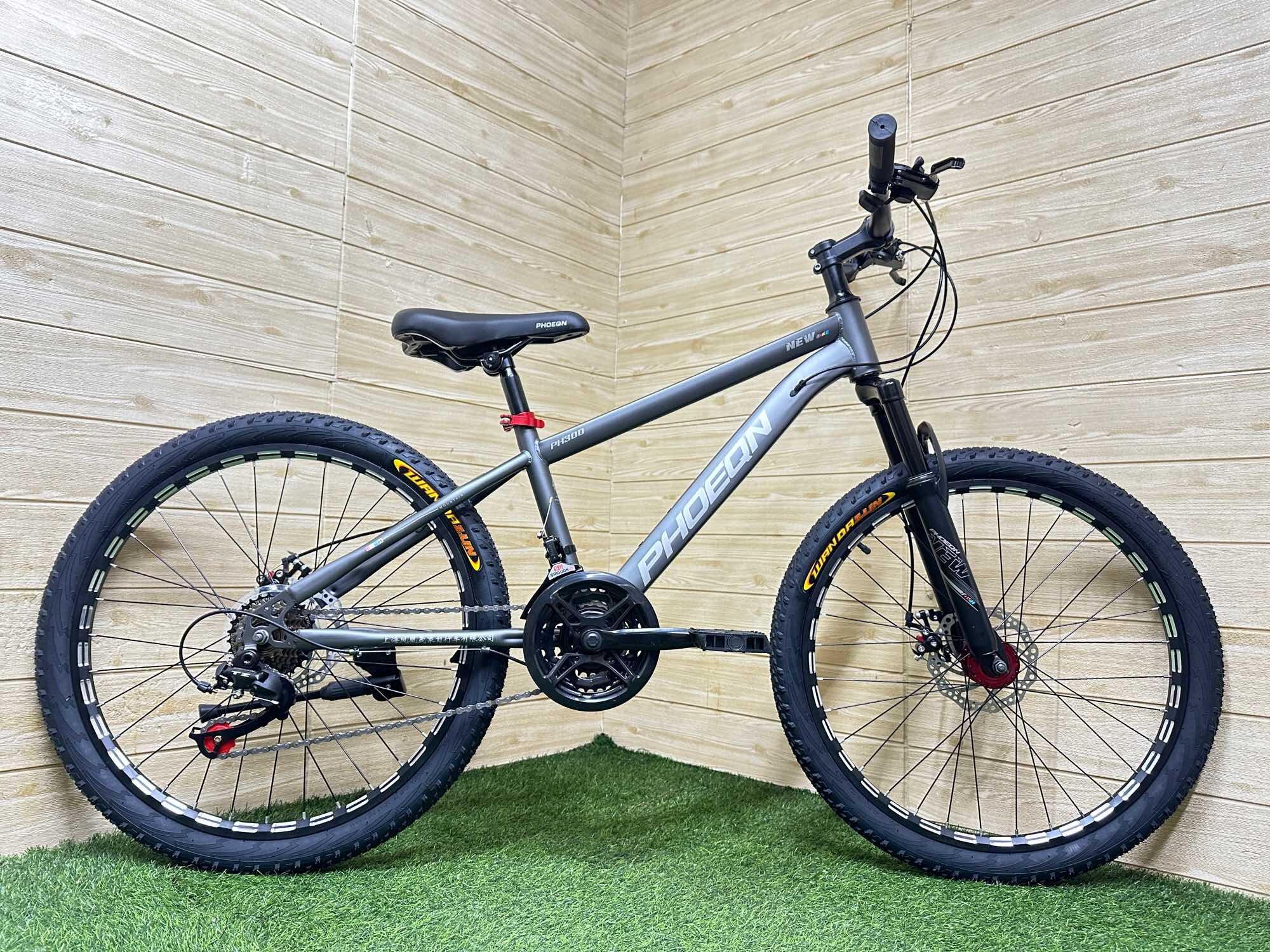 24" MTB 21s Disc Phoeon