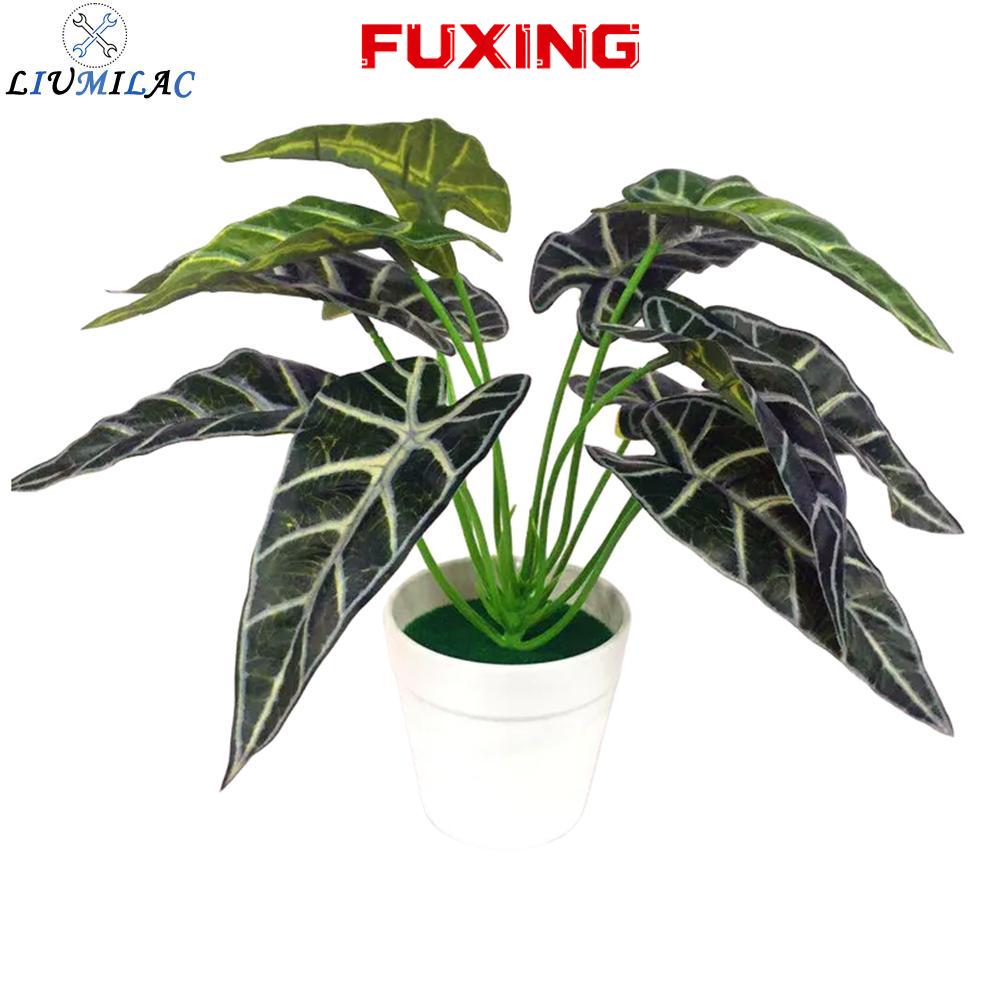 LIUMILAC Vibrant Turtle Leaf Plant Potted Ornament for Aesthetic Room Enhancement ราคา 179 บาท*ส่งฟรี