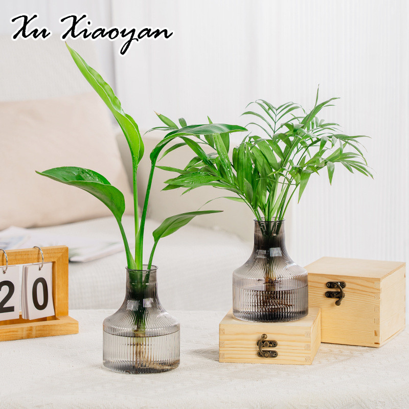 XUXIAOYAN แจกันพลาสติกใสตกแต่งภายในกระถางเฟอร์นิเจอร์ครอบครัว ราคา 9 บาท*ส่งฟรี