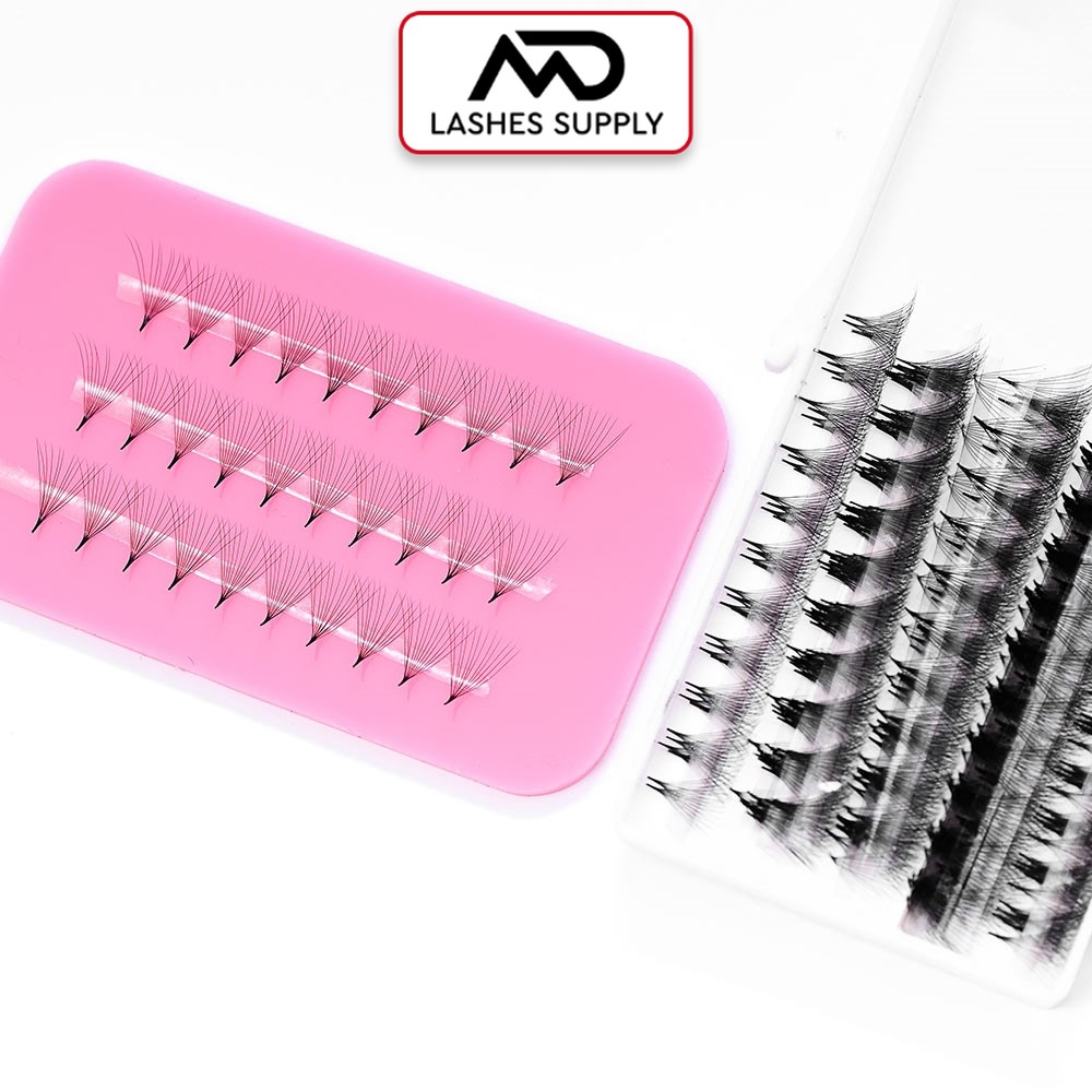 Mi fan line 12d độ cong c - cc - d, độ dày 0.5 - 1 hộp 1000 fan - dụng cụ nối mi