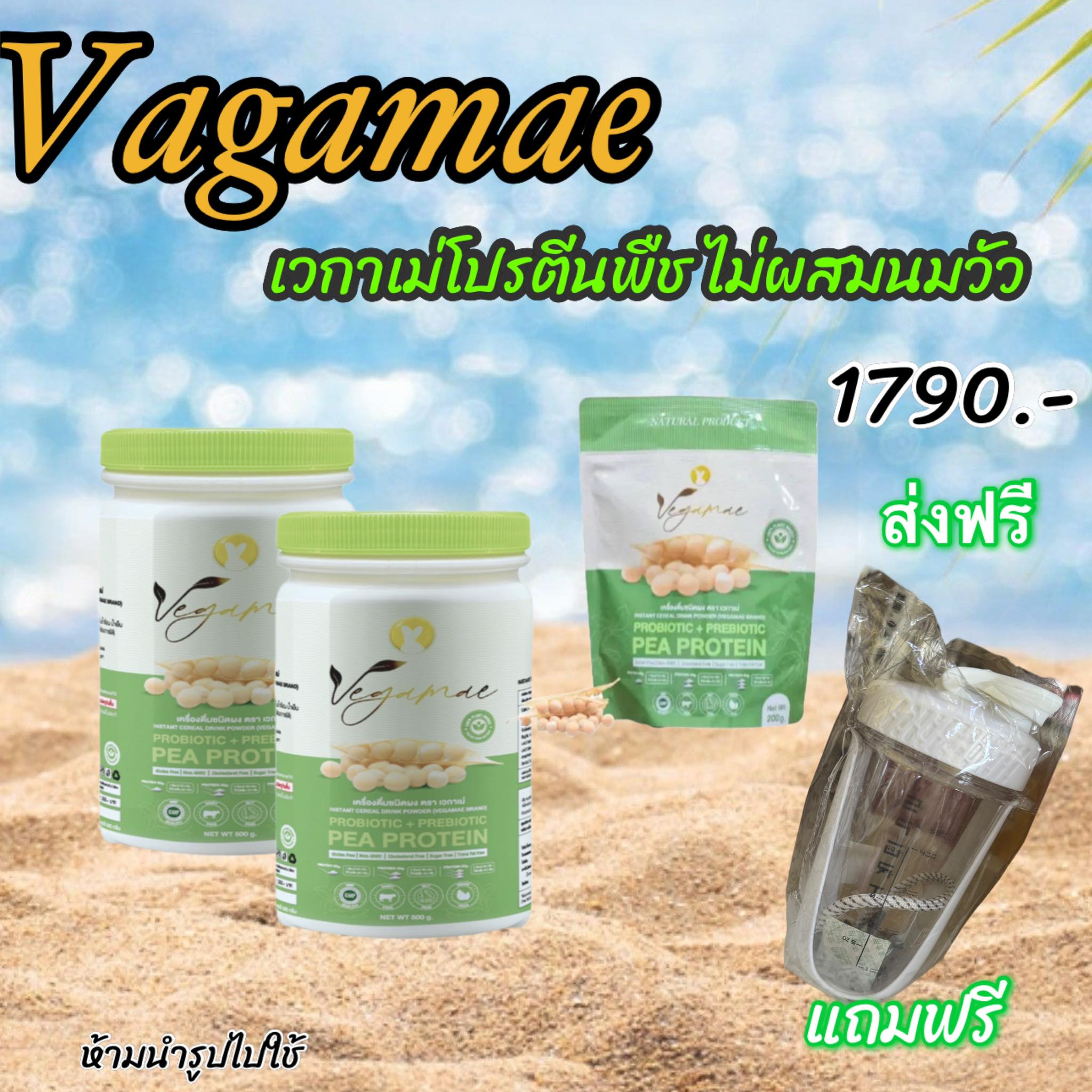 เข้าโปรแกรมส่งฟรี .- VEGAMAE ️โปรตีนถั่วลันเตาสีทอง ตรา เวกาเม่ (แบบเซต) หอมอร่อย ไม่ผสมนมวัว ราคา 1,790 บาท*ส่งฟรี