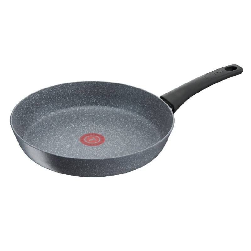 Tefal Chefs Delight Stone Frypan (Made in France) G12203/G12204/G12205 Singapore