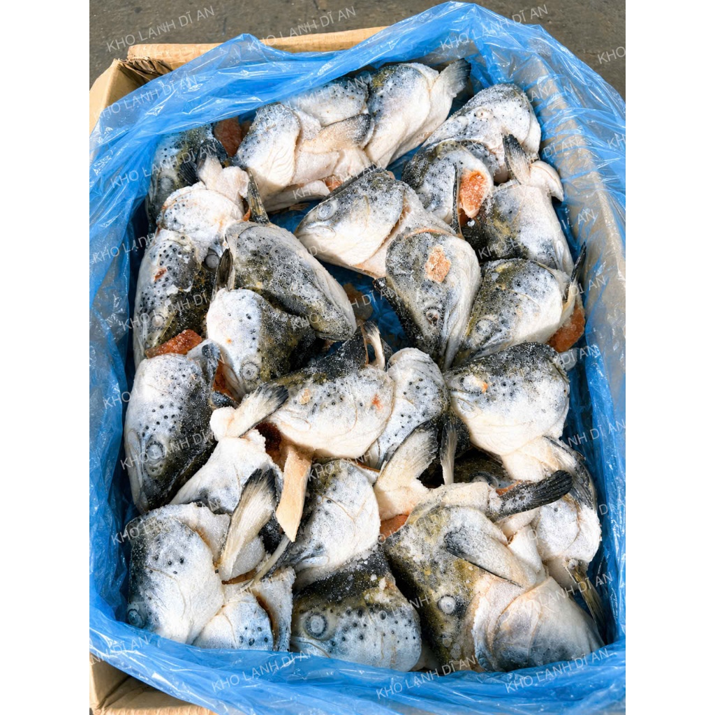 Thùng 10KG Đầu Cá Hồi ( Giao TPHCM )