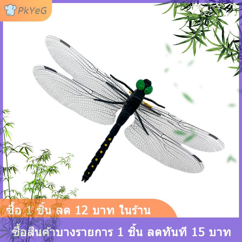 [COD] PkYeG เครื่องไล่ยุงกลางแจ้งจำลองแมลงปอตัวใหญ่แท่งสำหรับใส่แมลงปอไล่ยุงแมลงรุ่นของเล่นปีกยาว14ซม. ราคา 19 บาท*ส่งฟรี