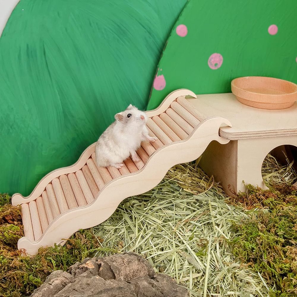 Tàu Lượn Đường Siêu Dễ Thương Nhím Đồ Chơi Nhai Chuột Hamster Động Vật Nhỏ