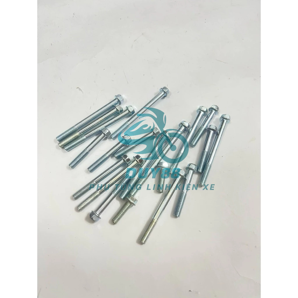 Bộ ốc bắt 2 bên lốc máy dream wave hàng cao cấp 20 chi tiết