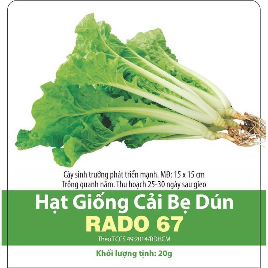 Hạt giống cải bẹ dún rado 67 20gr