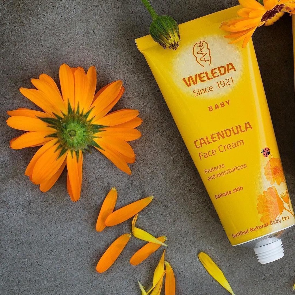 Weleda Baby Calendula Face cream ครีมทาผิวหน้าเด็กและทารกจากเยอรมนี