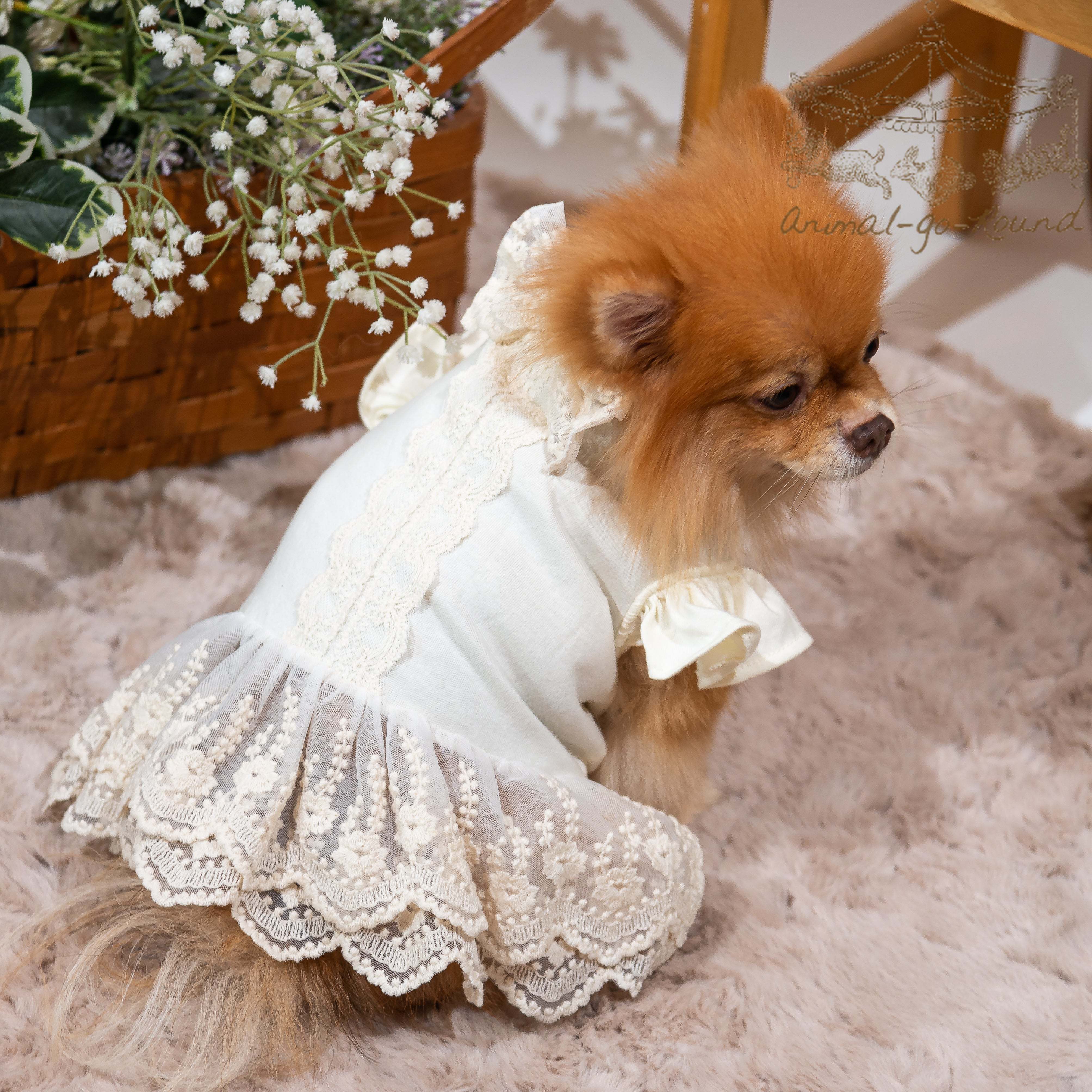 Animal-Go-Round เสื้อผ้าเครื่องแต่งกาย สัตว์เลี้ยง, หมา, แมว, สุนัข รุ่น Fleursbella ราคา 690 บาท*ส่งฟรี