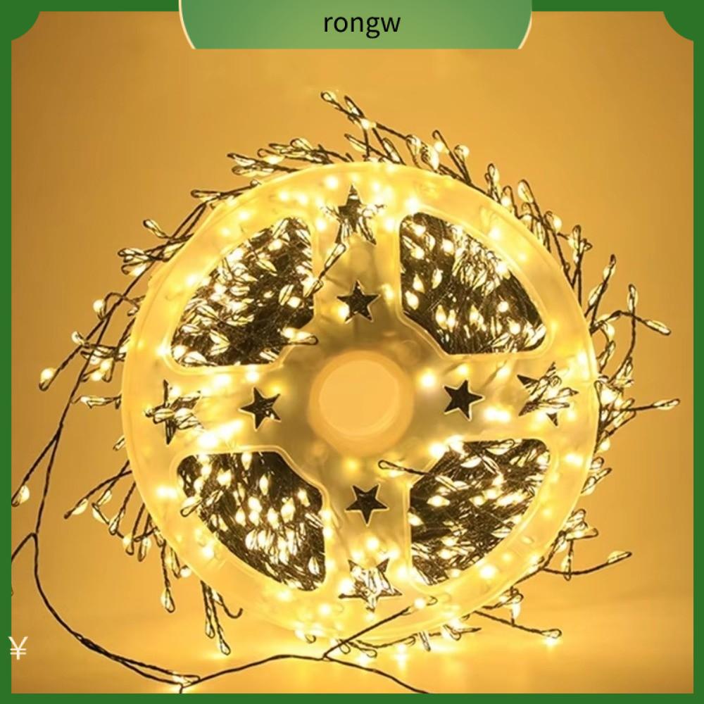 RONGW Cụm 100 đèn LED Đèn dây pháo hoa Chiều dài 3 mét với điều khiển từ xa Đèn dây đồng  Cáp xanh Chuỗi đèn cho bữa tiệc trong vườn ngày lễ