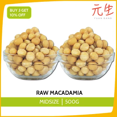 Macadamia 500g Healthy Snacks Wholesale Quality Fresh Tasty