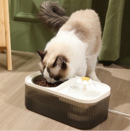Máy lọc nước hình bông hoa - kèm bát ăn cho chó mèo