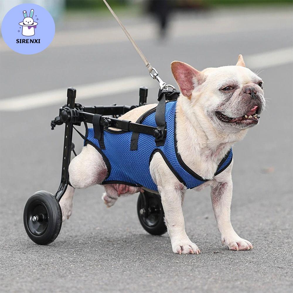 SIRENXI ปรับได้ปรับได้ สัตว์เลี้ยงเดิน Booster ล้อเดินล้อ ทนทานต่อการใช้งาน รถเข็นวีลแชร์สุนัข อุปกรณ์ช่วยการเคลื่อนไหว สีฟ้าสีฟ้า เครื่องช่วยกู้คืนแมวในรถ สุนัขความพิการ ราคา 1,681 บาท*ส่งฟรี