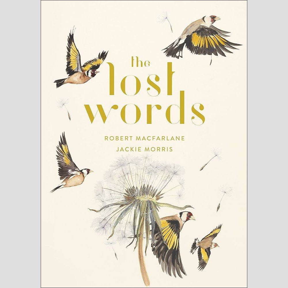 Sách tiếng Anh - The Lost Words