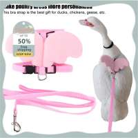 Caiqinlen Dioche Adjustable Nylon Ducks Harness Leash Set for Outside Walking - Pet Ducks Chickens and Geese Blue S Poultry Supplies (S)