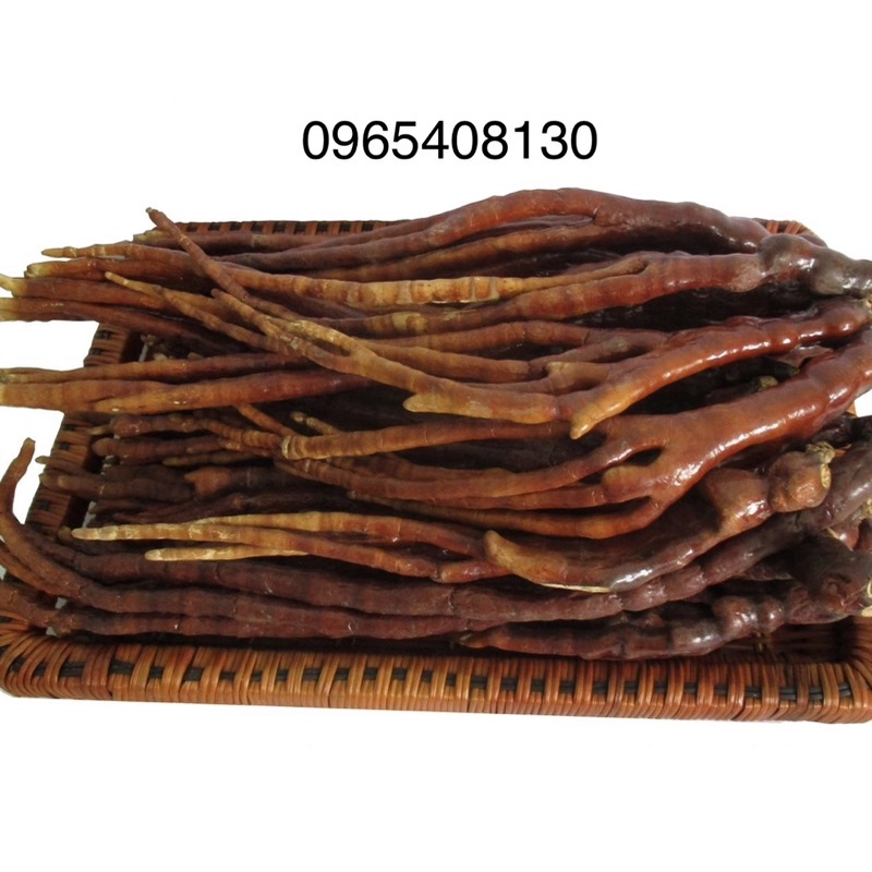 Nấm linh chi Sừng Hươu