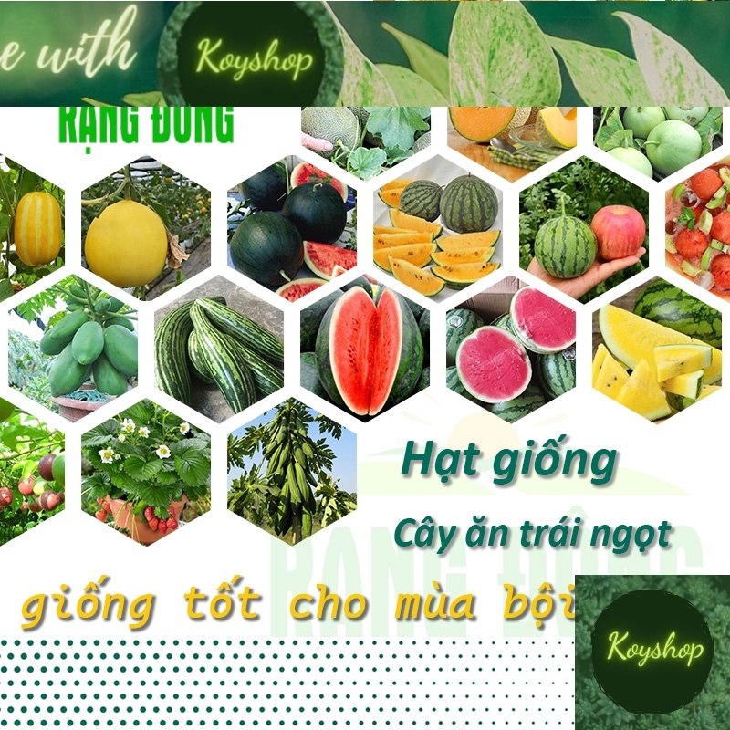 Hạt giống Cây ăn quả - Rau ăn trái trồng chậu, dễ chăm sóc, Hạt giống rau củ quả trồng quanh năm - Hạt giống Rạng Đông