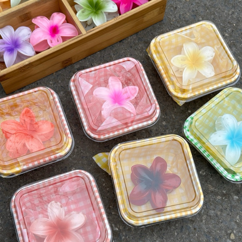 Box Bbento kẹp hoa sứ SUMMER VIBE Kẹp tóc hoa Nhiều Màu Sắc Phong Cách Hawaii