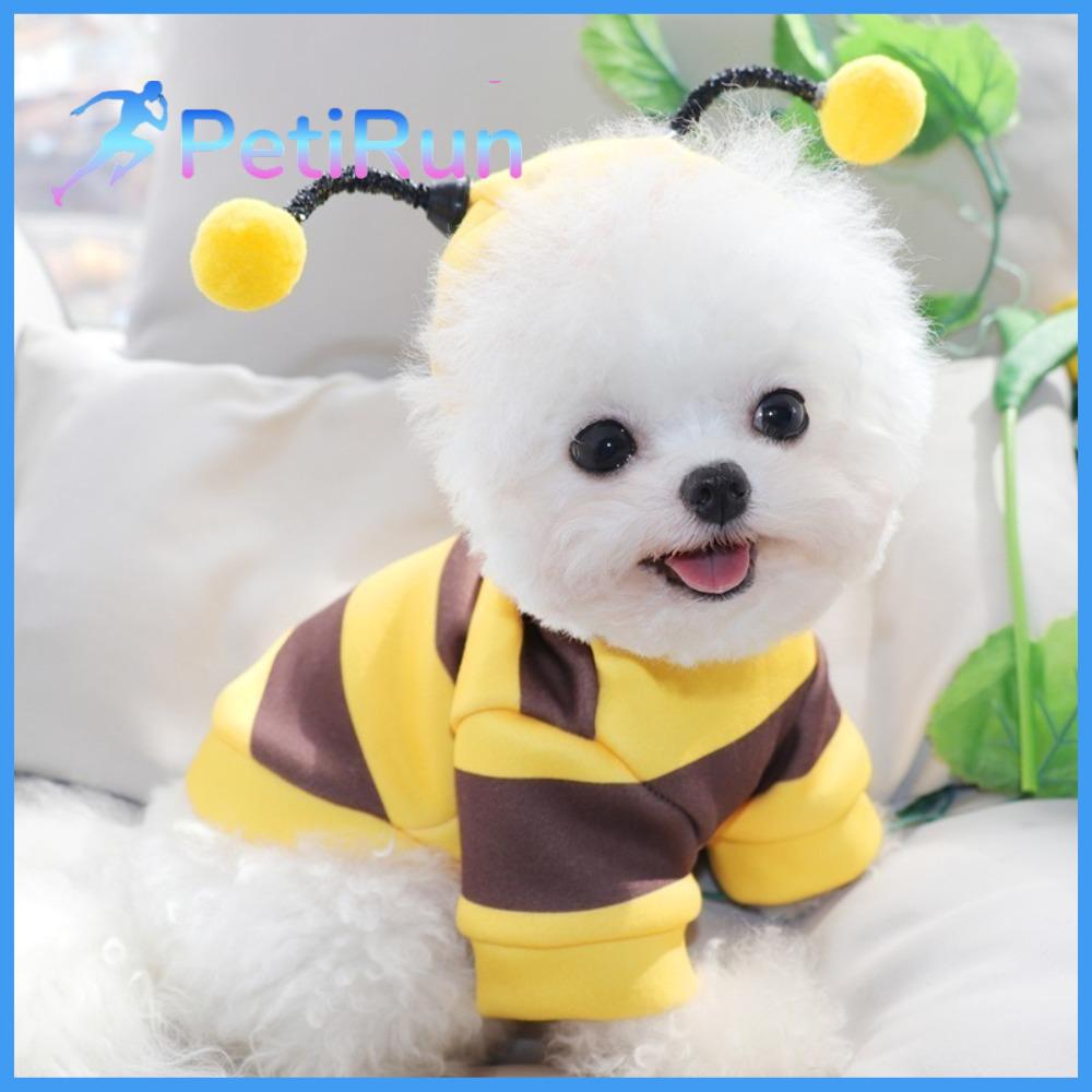 PETIRUN Halloween Trang phục cún con Polyester Trang phục Áo khoác có mũ hình con ong  Sản phẩm cho thú cưng Trang Phục Cosplay