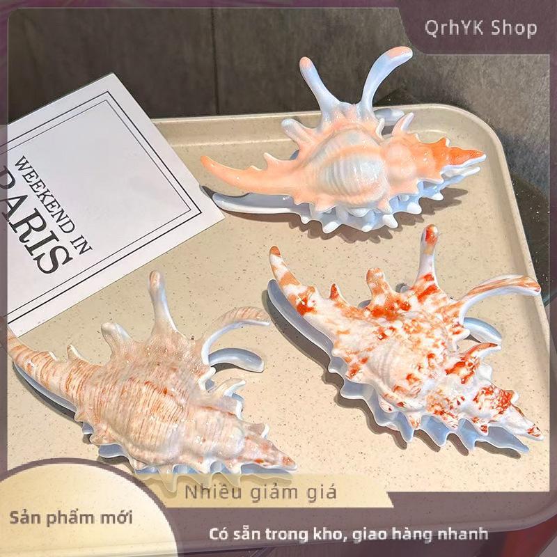 Hàng có sẵn✨ Thời Trang Acrylic Conch Móng Vuốt Tóc Hàn Quốc Phóng Đại Đầy Màu Sắc Không Thường Xuyên Cá Tính Lớn Móng Vuốt Tóc Phụ Nữ Cô Gái Phụ Kiện Tóc