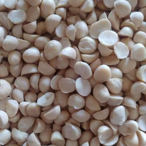 Nhân macca vỡ đôi Đăklăk nấu sữa giàu dinh dưỡng thơm ngon 500g - HT FOOD
