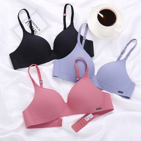 "Japanese Seamless No Wire Bra for Small Chests - "