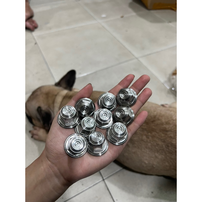 Tán Thái Salaza Bít đầu V2 10li 12li 14li
