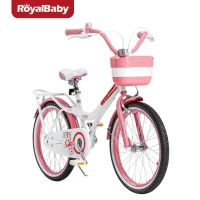 girls 20 inch bike with basket