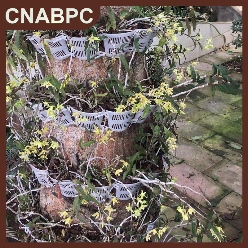 CNABPC บอร์ดปลูกกล้วยไม้10ชิ้นพร้อมแผงควบคุมและเติมอากาศสำหรับติดบอนไซในร่ม กลางแจ้ง ราคา 61 บาท*ส่งฟรี