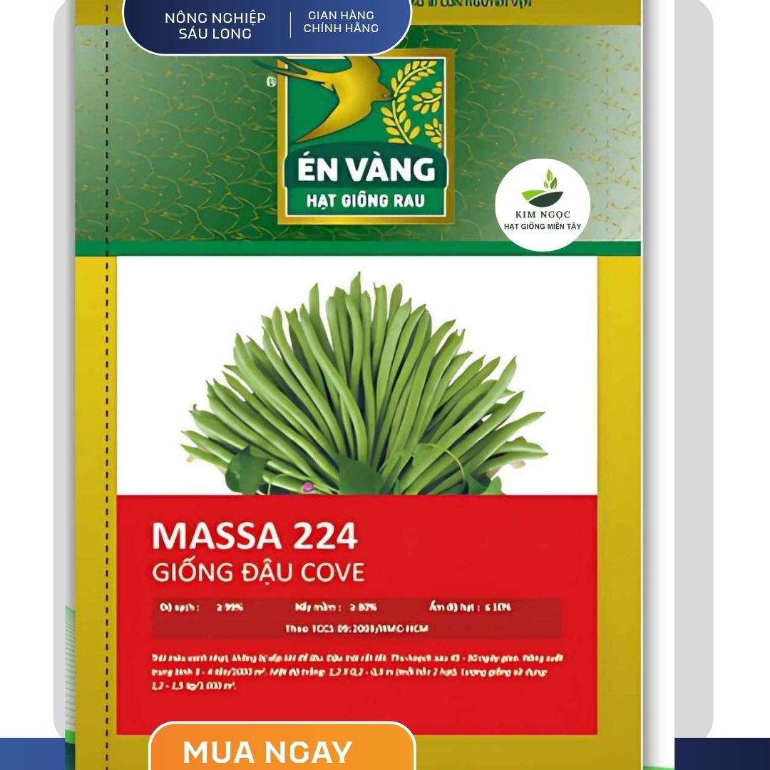 Hạt giống Đậu cove MASSA 224 linh hoạt, đậu trái tốt, bảo quản lâu