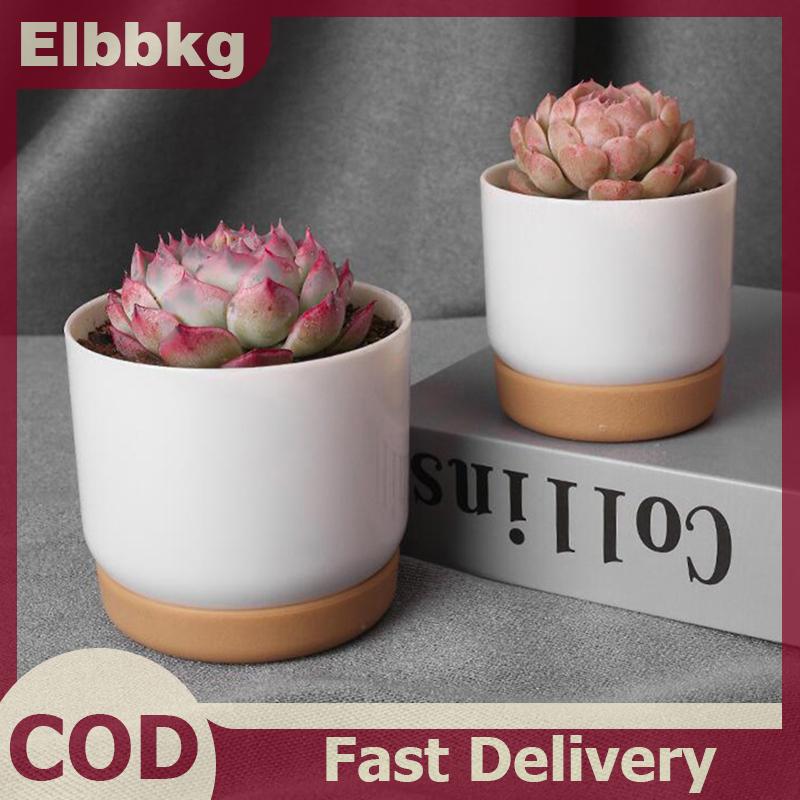 Elbbkg กระถางต้นไม้ฉ่ำสองชั้นสีเขียว dill ขนาดเล็กสีเขียว plantpot ราคา 38 บาท*ส่งฟรี