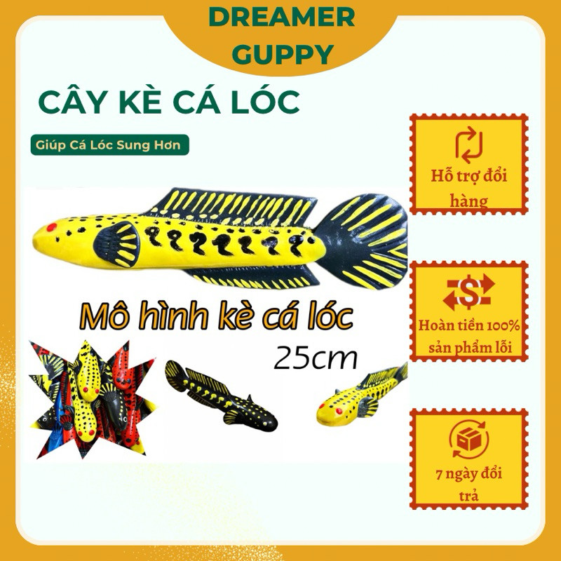 Cây Kè Cá Lóc