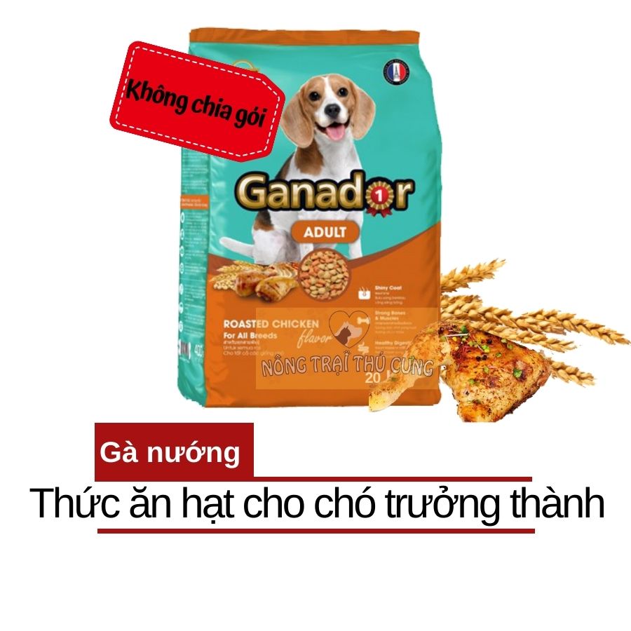 BAO XÁ Hạt Cho Chó Trưởng Thành Ganador Chicken Roasted - Vị Gà Nướng -