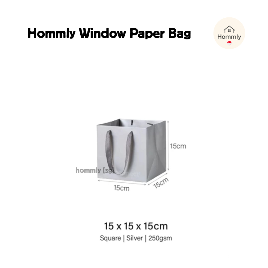 [Hommly SG Instock] Square Colour Paper Bag Cake carrier Gift bag Kraft Paper Bags Gift Bags Xmas Christmas Dessert bag