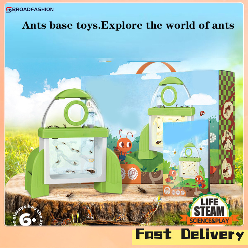 Broadfashion Ants Farm Kit For Kids Ants Ecology Base Insect Observation Transparent Box Educational Science Toys Gifts For Boys Girls ราคา 465 บาท*ส่งฟรี
