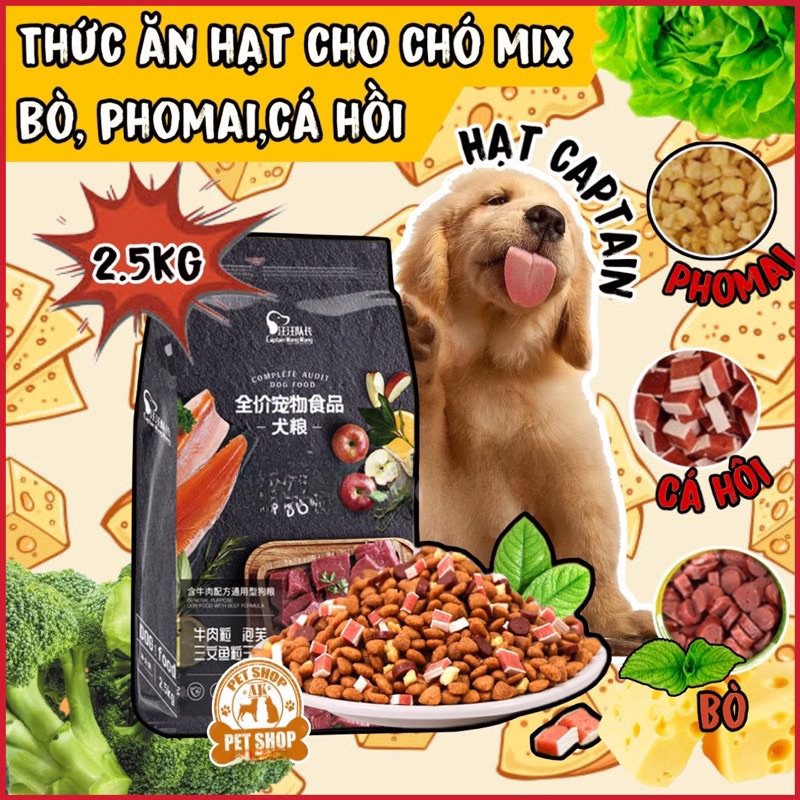 [Hạt Captain 2.5kg Túi thử 500g/1kg-Giá Tốt] Hạt thức ăn cho chó Captain trộn bò,phô mai,cá hồi(đặc biệt cho chó KÉN ĂN)