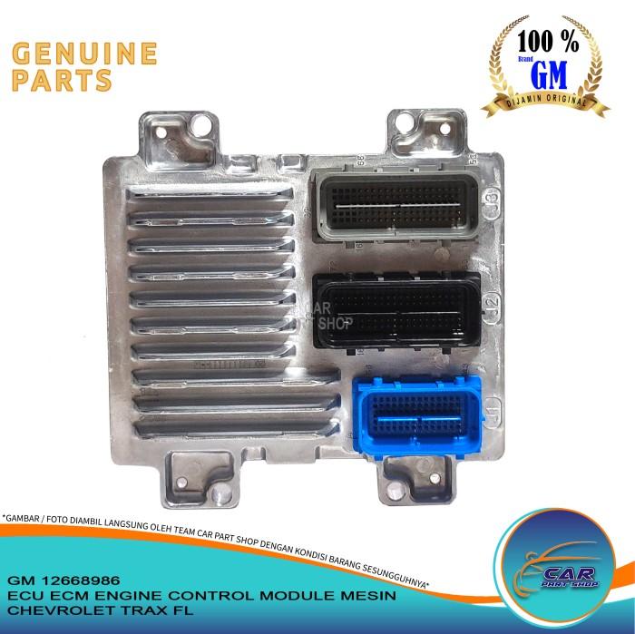 ECU ECM ENGINE CONTROL MODULE MESIN CHEVROLET TRAX FL GM 12669966 SPAREPART MOBIL -nanas shop9 Harga 9,231,000 rupiah*Gratis Ongkir